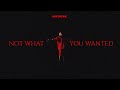 Aime simone  not what you wanted official music
