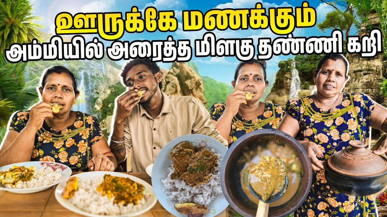 ஊருக்கே மணக்கும் அம்மியில் அரைத்த மீன் மிளகு தண்ணி கறி😛 |Voice of Anushan vlogs