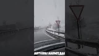 Artvinli Ahmet Bal (Yazın ortasında)