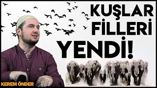 Kuşlar filleri yendi! - Fil suresi tefsiri / Kerem Önder