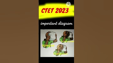 #ctet2023 | paper 2 science important question