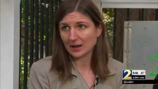 Family buys foreclosed home, finds massive mold problem