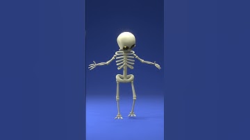 rigged skeleton and simple animation | Blender