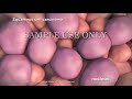 Esophageal Cancer