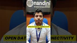 Export Data to Excel Using ODBC in TallyPrime | Export Tally Data to Excel