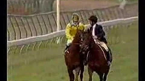 2002 Melbourne Cup (full version, incl. post-race ...