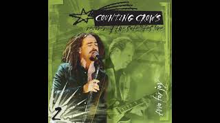 Recovering The Satellites (Two For Joy - Counting Crows)