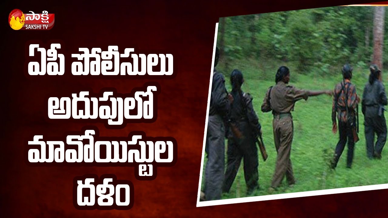 పోలీసులకు చిక్కిన కాలిమెల దళ సభ్యుల | AP Police Caught Kalimela Dalam | Sakshi TV