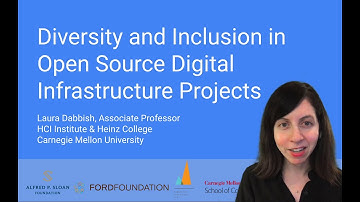 Diversity and Inclusion in Open Source Digital Infrastructure Projects