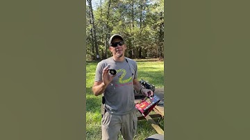 New Firebird 65 Targets!  #shorts