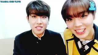 Subs 180208 Pink Sausages Graduation