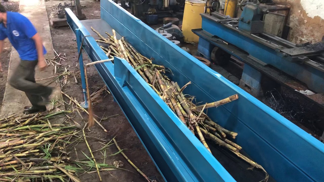 PICADOR DE CANA RANI PIEROTTI COM ENGENHO DE CANA 14x20