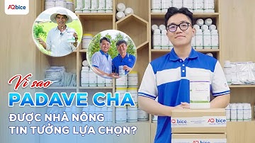 CHIẾM TRỌN LÒNG TIN NHÀ NÔNG VỚI THỢ SĂN TUYẾN TRÙNG PADAVE CHA | AQBICE
