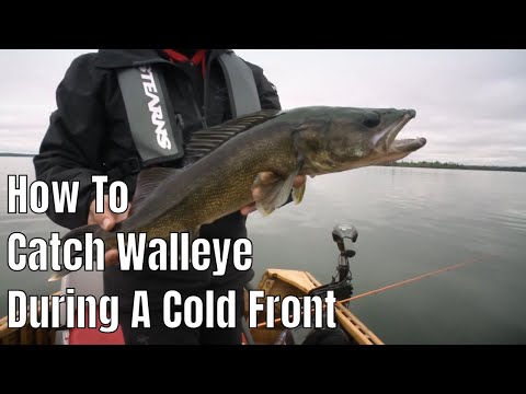 How To Catch Walleye During A Cold Front |  Fish'n Canada