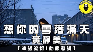 黃靜美 - 想你的雪落滿天｜繁體拼音歌詞 CC字幕｜親親Fun音樂