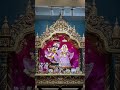 #music #love #vrindavan #spiritual #healing #radhakrishna #radheradhe