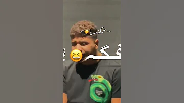 مهرجان انت ولا جامد ولا نيله احمد موزه 