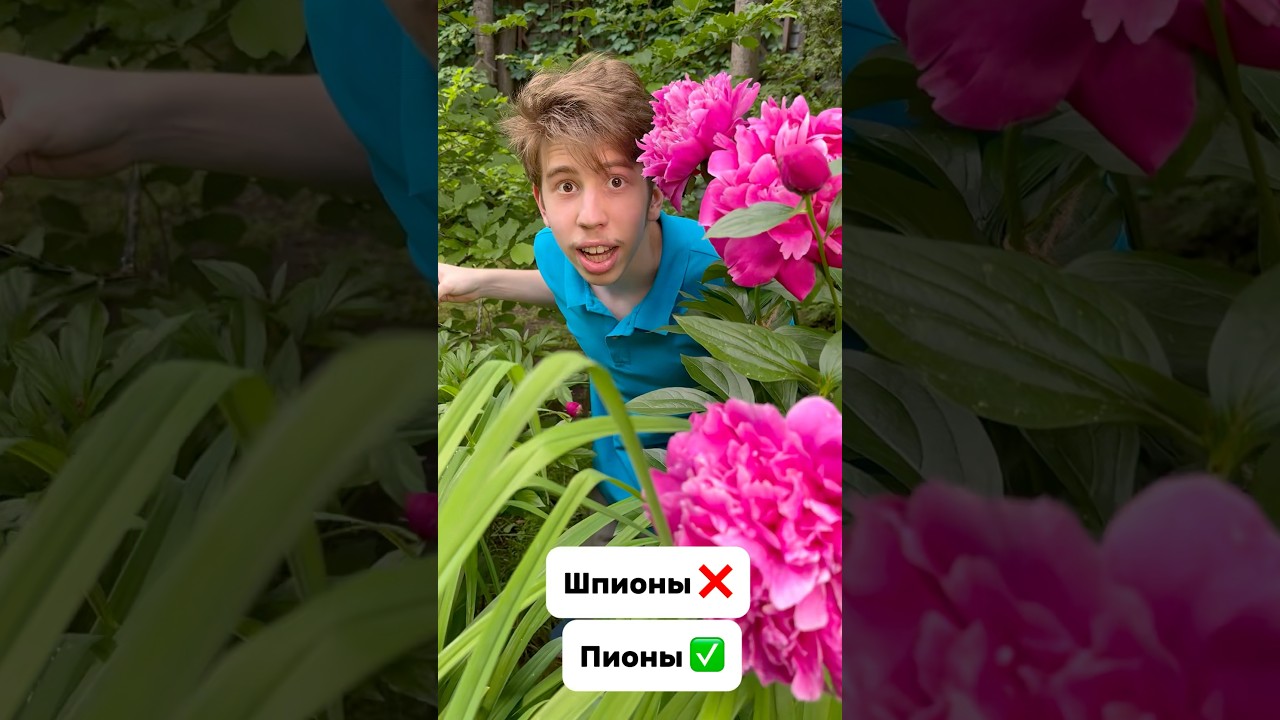 Что я выращиваю по мнению моего сына. Часть 2 