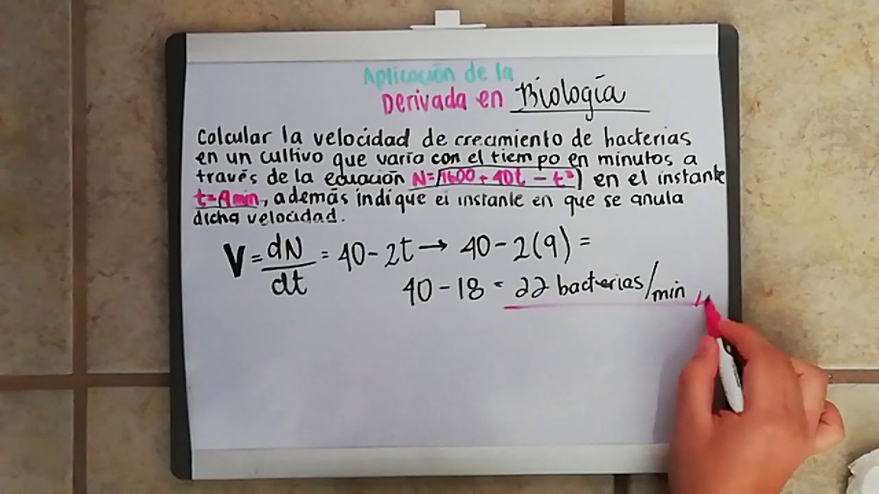 Aplicación de la derivada a la biologia - YouTube