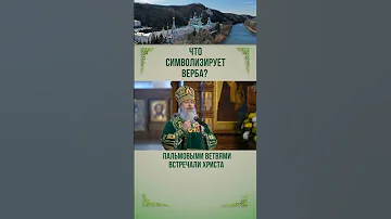 Что символизирует верба?