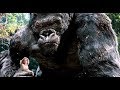 king kong the beautiful film of world720P HD