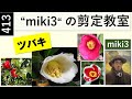413 ツバキ椿の剪定 miki3