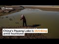 China's Poyang Lake shrinking amid heatwave