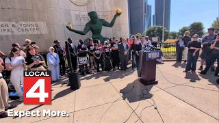 Michigan Senate primary sets up El-Sayed, Rogers showdown in high-stakes November race