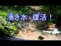 湧き水システム復活! 化粧砂のスマートな入れ方