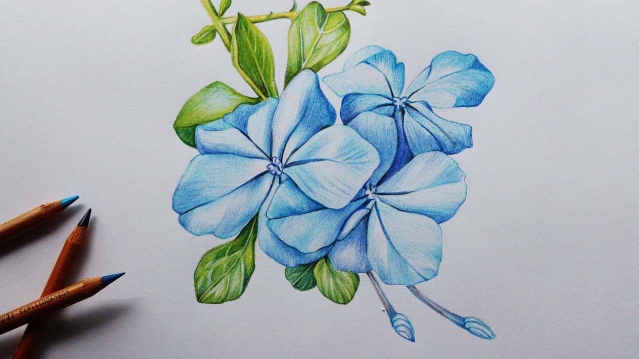 📸pretty flowers i drew | Gallery posted by sky | Lemon8