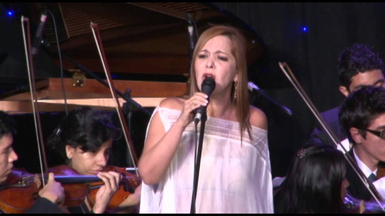 Una casa llamada país - María Isabel Saavedra