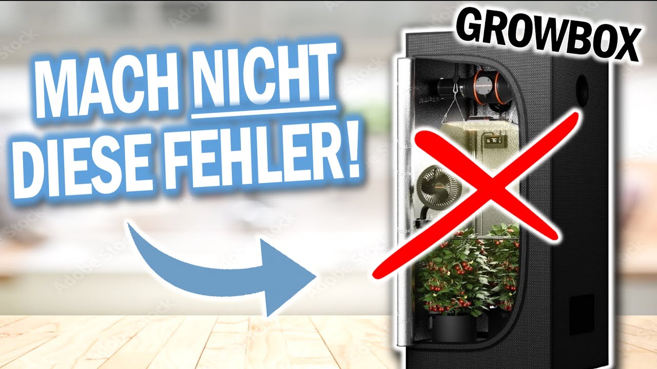 GROWBOXEN: ❌Vermeide DIESE 9 Fehler !❌