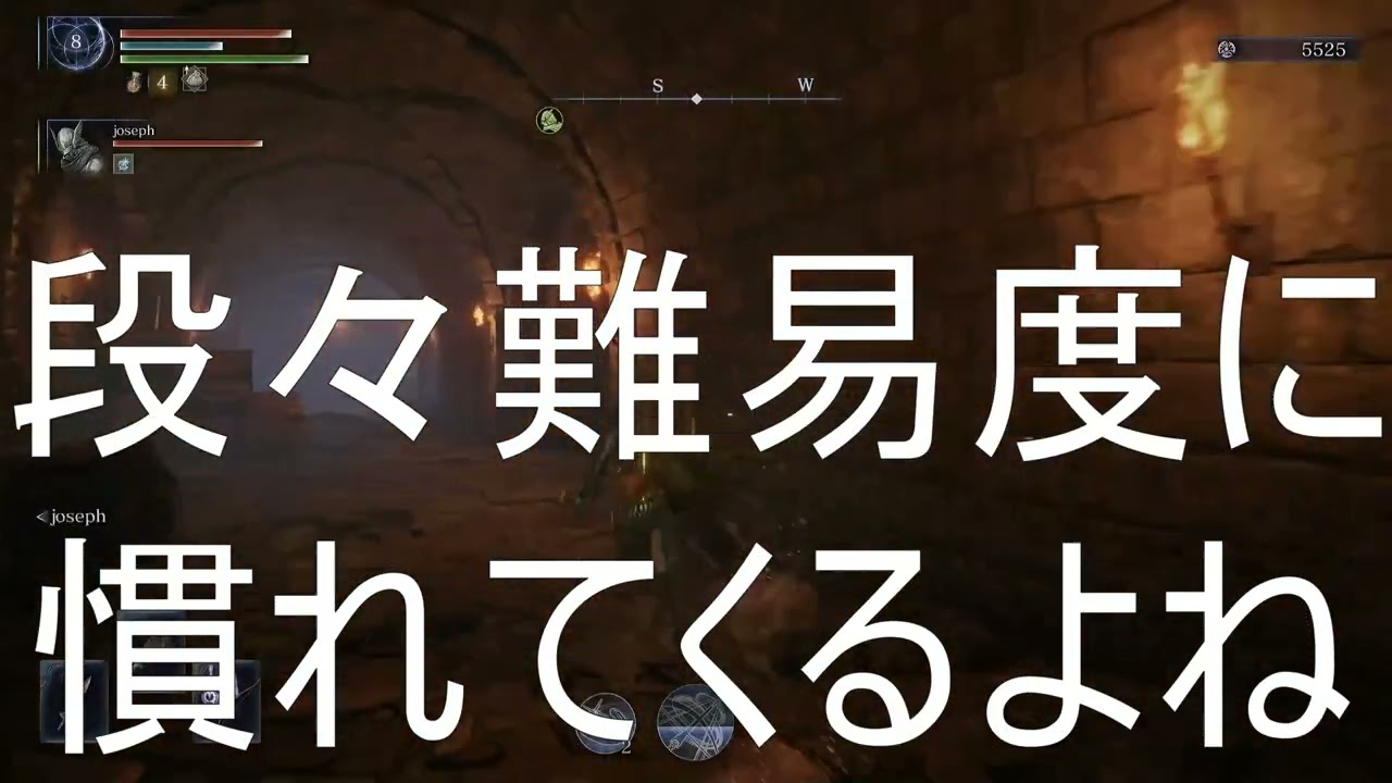 Mさんとエルデンリングナイトレイン3