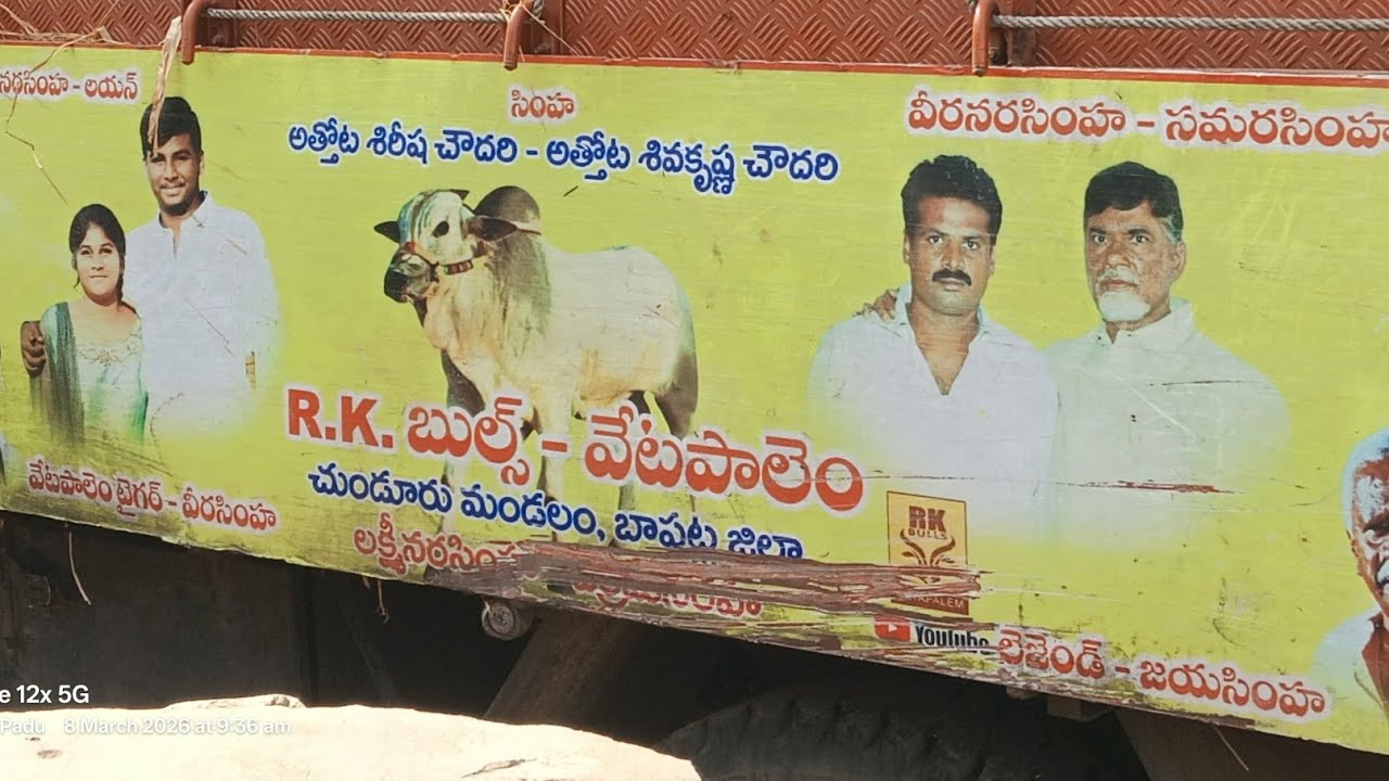 దొండపాడులో ఈరోజు సీనియర్స్ విభాగంలో మొదటి జత RKbulls వేటపాలెం 4kvideo💥🥈💥 రెండవ బహుమతిగెలుచుకున్నారు 