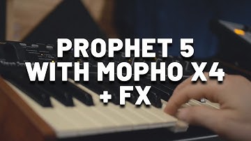 Prophet-5 Sounds with Dave Smith Mopho x4 + Effects | Analog Synth Demo (No Talking)