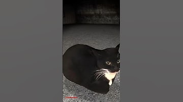 Maxwell And Angrymunci Gmod 🐈‍⬛ #gmod #nextbots #maxwell #angrymunci