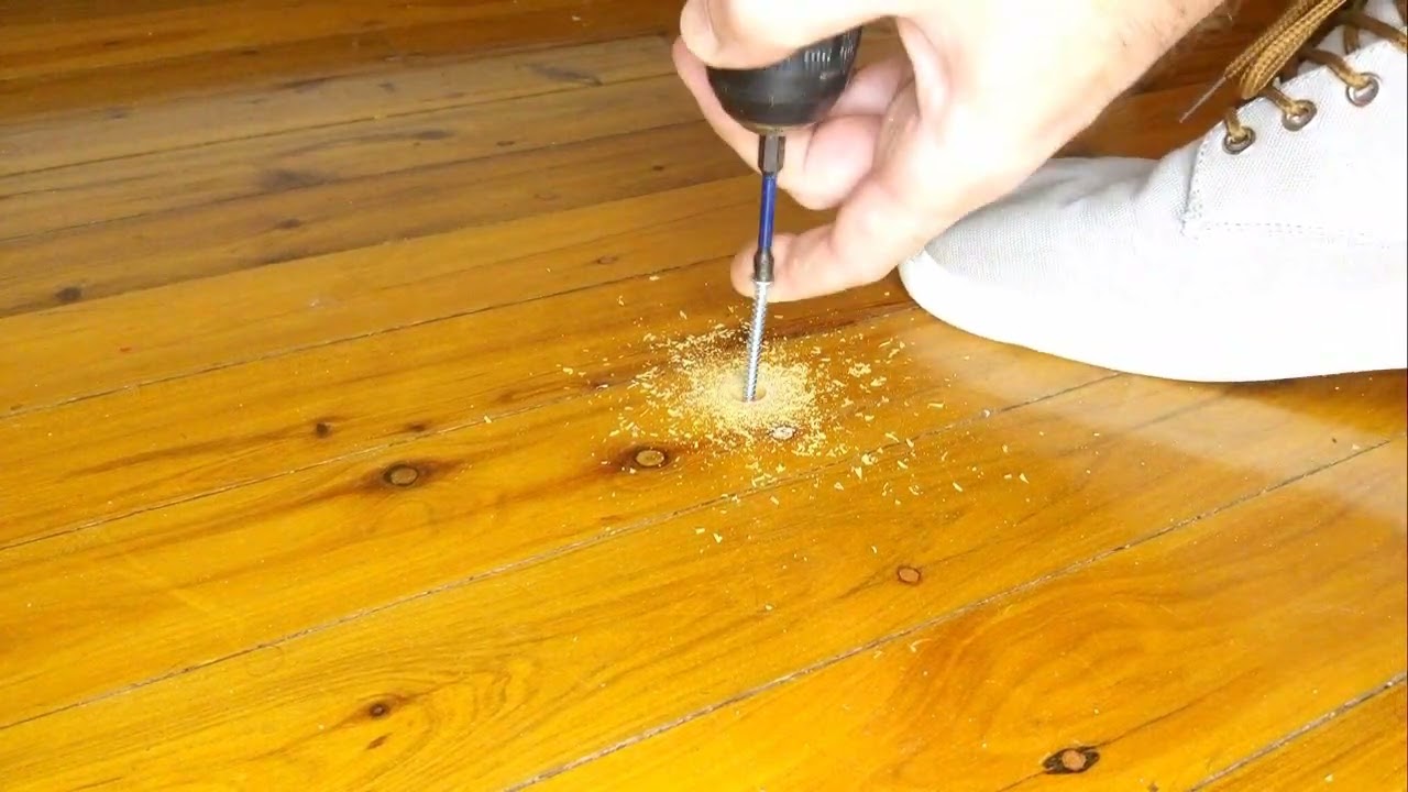 How To Fix Squeaky Floorboards Under Carpet Australia Floor Roma How To Fix Squeaky Floorboards Under Carpet Australia Floor Roma