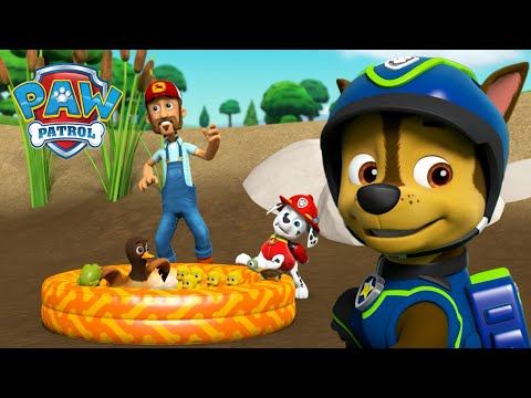 PAW PATROL - MARSHALL SAVES THE DUCK POND AND MORE ANIMAL RESCUES!
