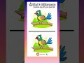 Find the Mistakes FAST! ⚡ Bird Challenge 🐦 Spot 3 differences!! BrainTest #93