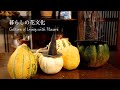 【暮らしの花文化】川崎景介の季節の花と花言葉～かぼちゃ～