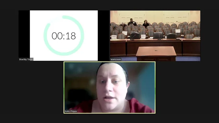 W&M Committee Session, 3/1/2023 #1