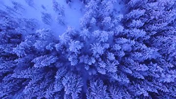 تلاوة رائعه خاشعة مغربية من سورة الإنفطار