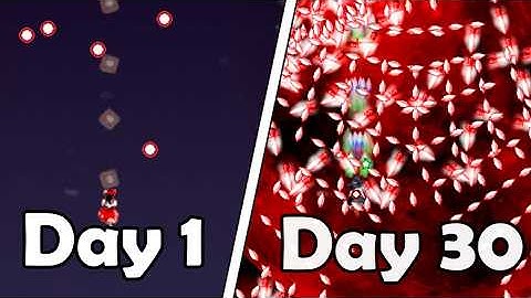 I Played One Month of Touhou as a Complete Beginner