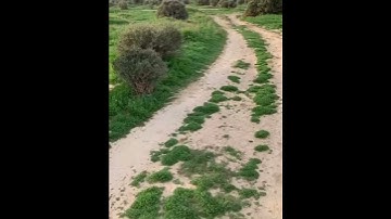 تلاوة مباركة وترتيل جميل يغذي الروح للشيخ: علي جابر رحمه الله.