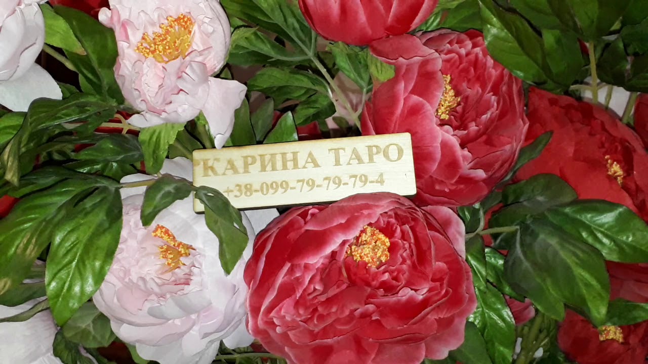 Youtube карина таро Youtube карина таро
