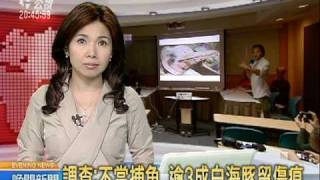 20110428 公視晚間新聞 調查:不當捕魚 逾3成白海豚留傷痕