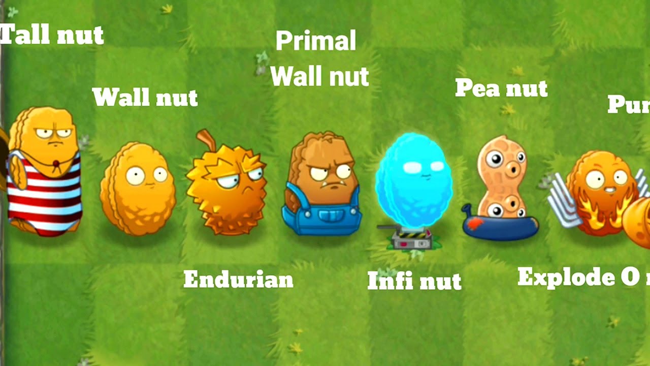 Walnut pvz 2