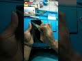 Proses Pemasangan Kaca luar layar HP android semua tipe#SHORTS