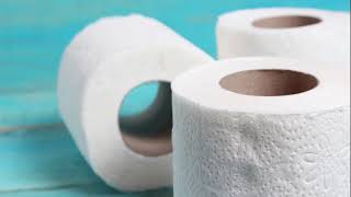 TOILET PAPER PORN