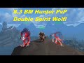 WoW 8.3 BM Hunter PvP - 18 Kills BM Damage Good in PvP?! - Lvladen Commentary